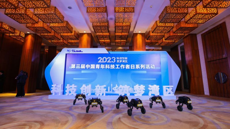 成都软件测试公司招聘标准：解码人才选拔之道